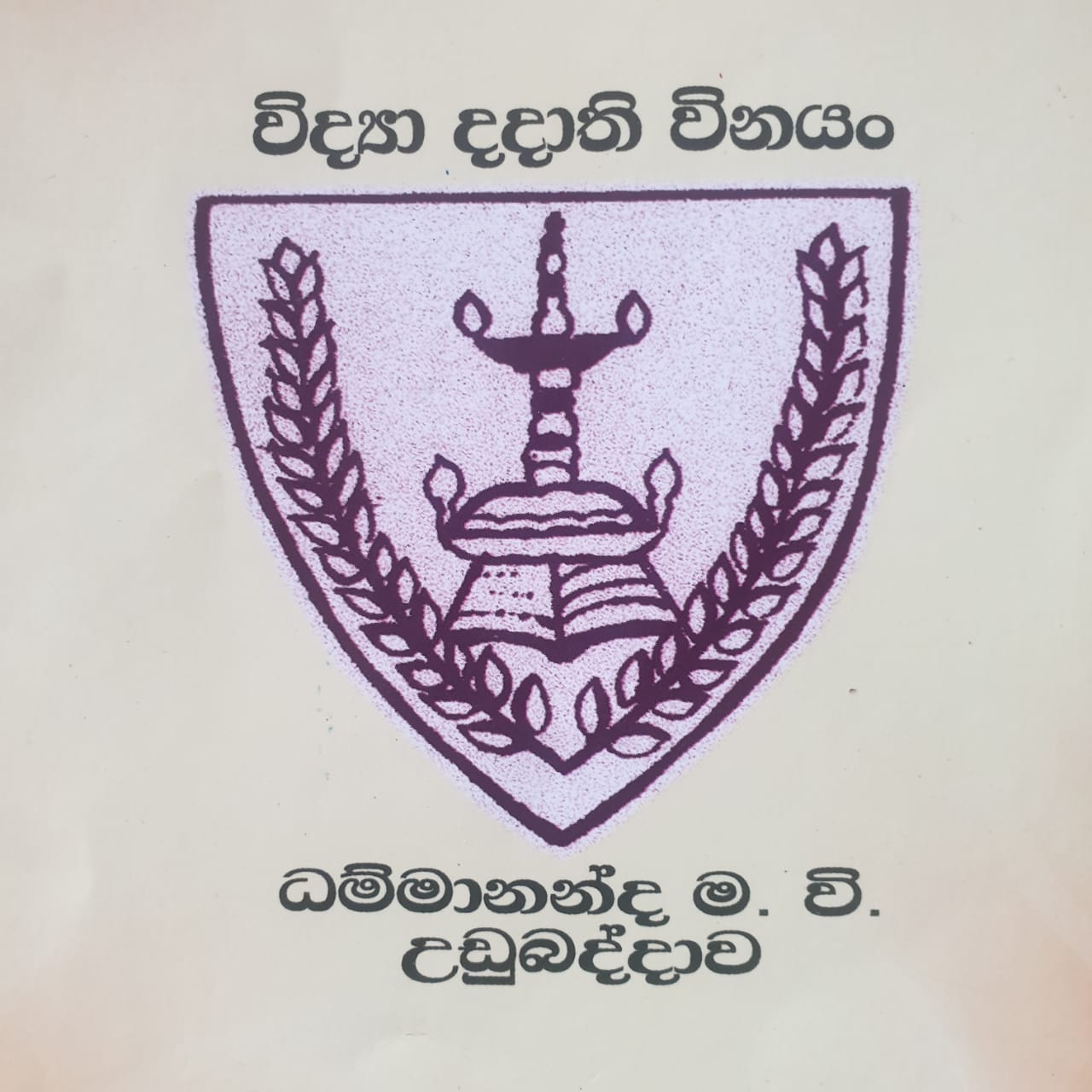 Schoo Logo